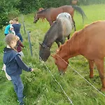 Gasthof U Chowancow 3*