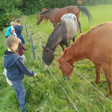 招待所 U Chowancow 3*