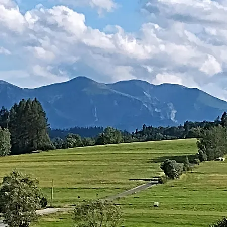 招待所 U Chowancow 3*