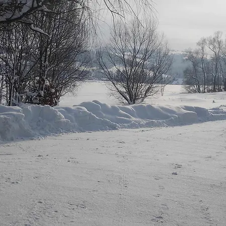 U Chowancow 招待所 3*