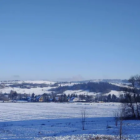 U Chowancow 招待所 3*