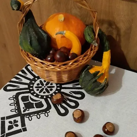 U Chowancow 招待所 Banska Nizna