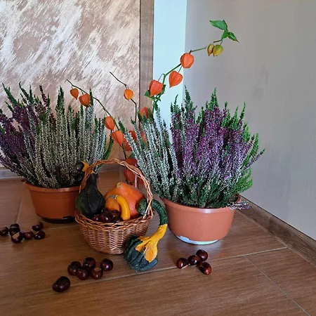 招待所 U Chowancow 3*