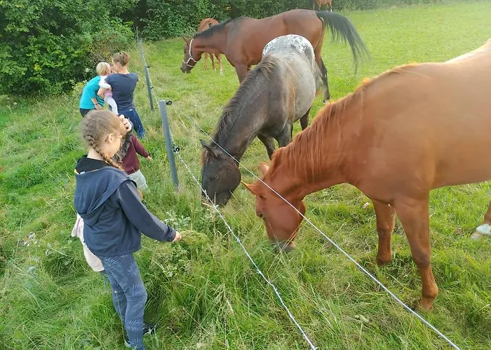 Pensión U Chowańców 3*